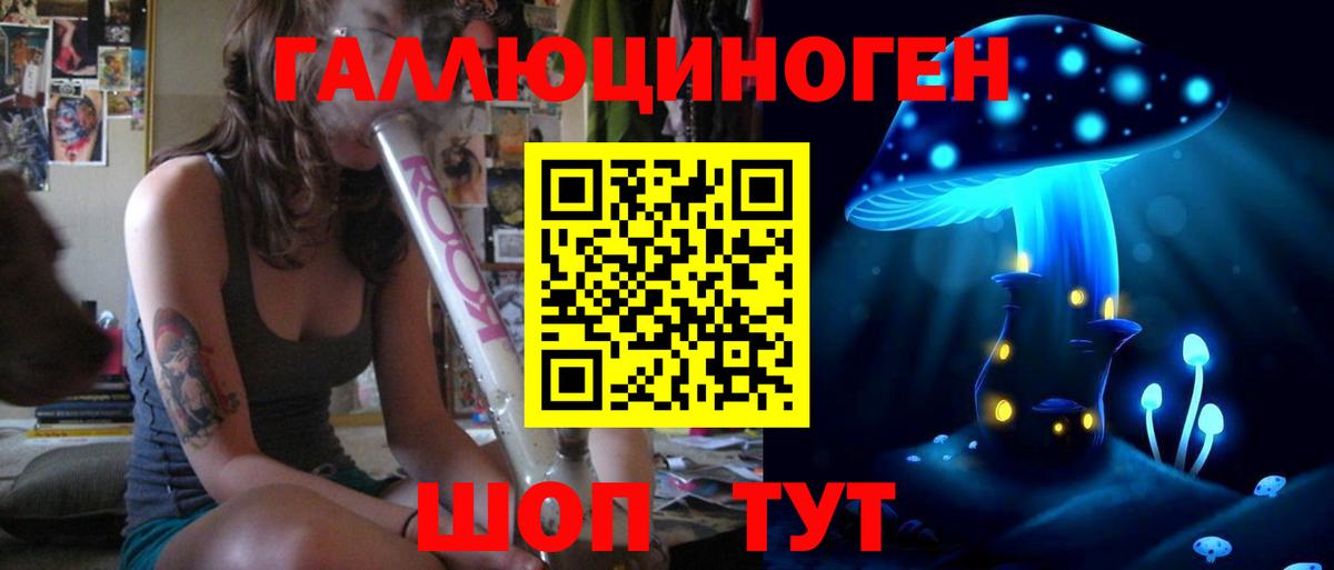Свободный  закладка  Вход с VPN  Псилоцибиновые грибы GOLDEN TEACHER 