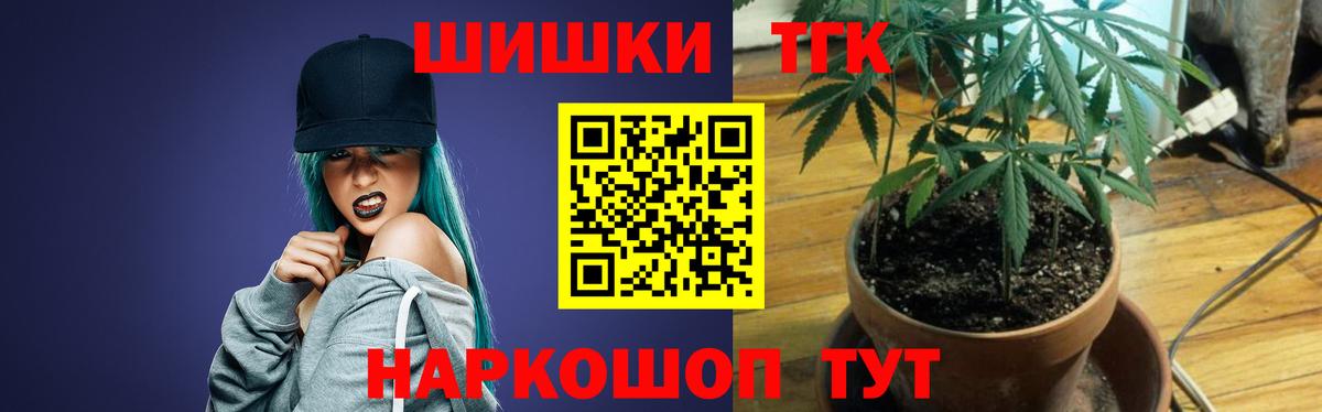 Свободный  Конопля планчик  Вход с VPN  Бошки Шишки индика 